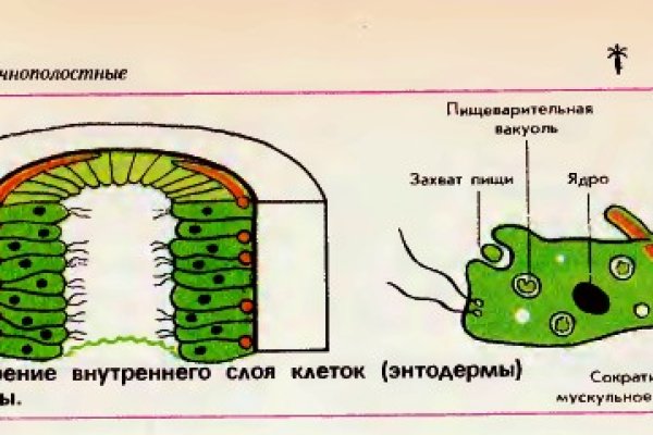 Кракен ссылка 2web krakendark link