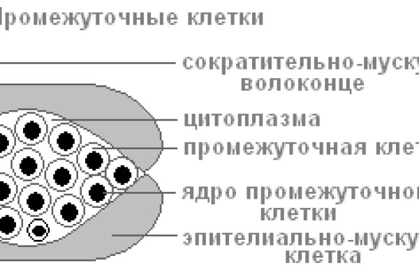 Кракен регистрация