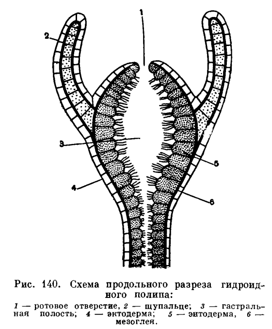 Кракен рутор